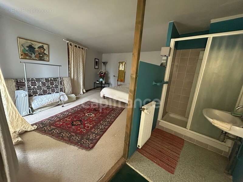 Maison en pierres 5 pièces à Étais-la-Sauvin 89, beaux volumes et cachet - photo 8