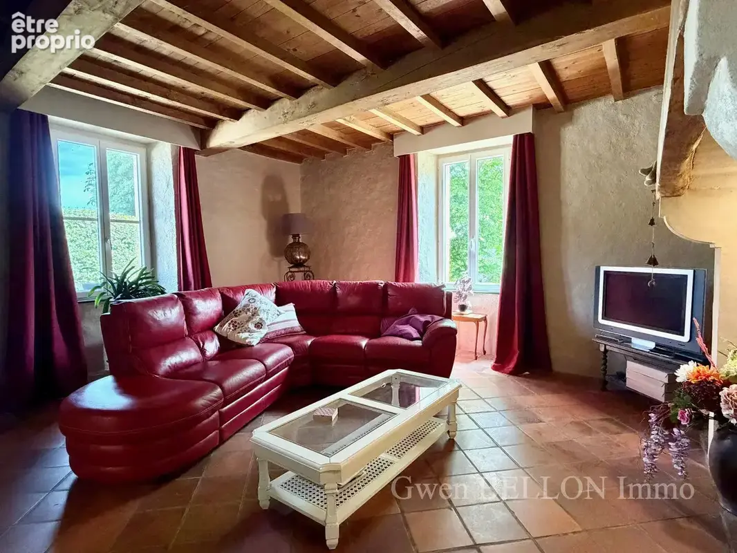 Maison 15 pièces 585 m² à vendre à L'isle-En-Dodon (31230) - photo 25