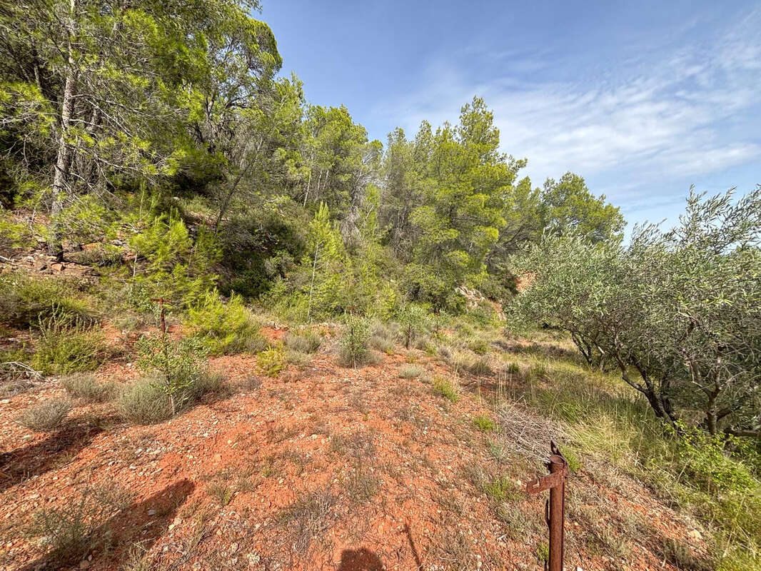 Terrain à PUISSERGUIER