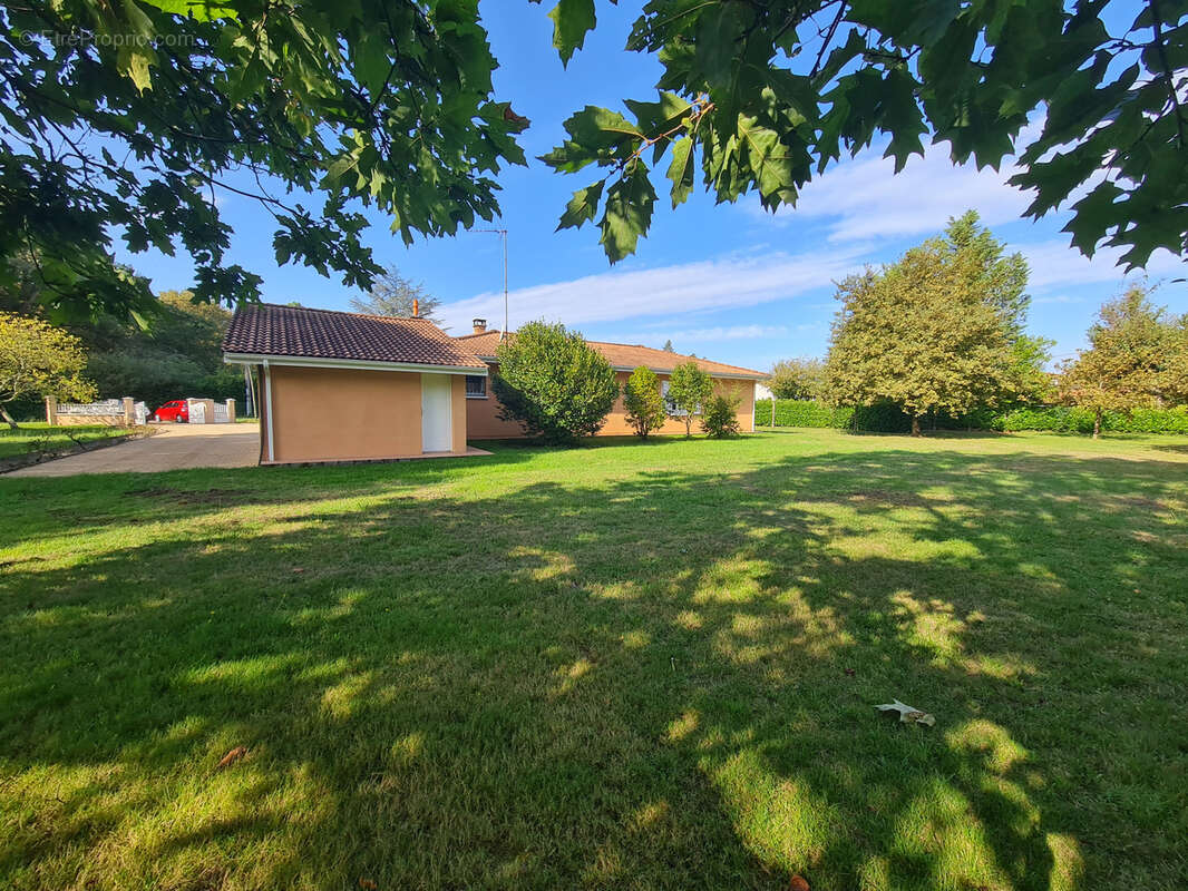 Maison à BELIN-BELIET