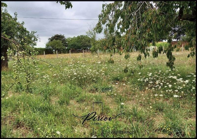 Proche du coeur de ville Baugé - 1300 m² de terrain partiellement arboré - photo 4