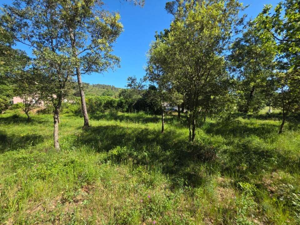 Terrain 847 m² à Gareoult  - photo 5