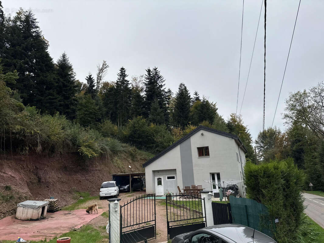 IMG_1163 - Maison à XERTIGNY