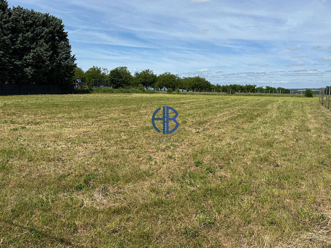 VIRIVILLE - Terrain constructible 1581 m² -  Secteur calme - photo 2