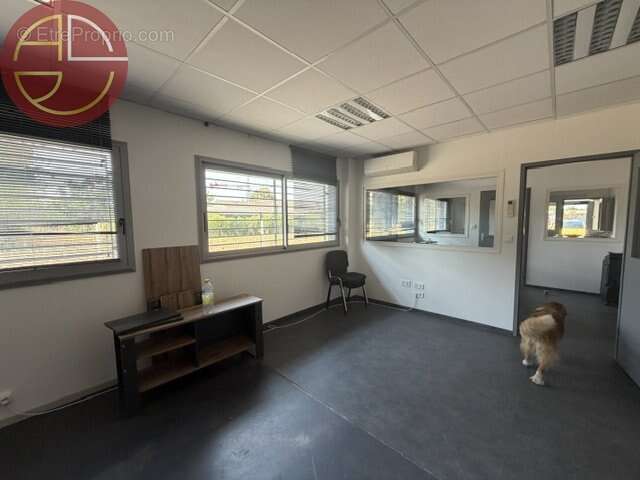 Commerce 351 m² à Saint-Jory  - photo 7