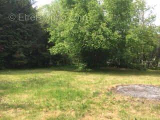 Terrain à SAINT-OUEN-EN-BRIE