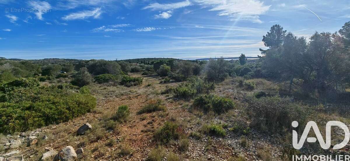 Photo 5 - Terrain à LA PALME