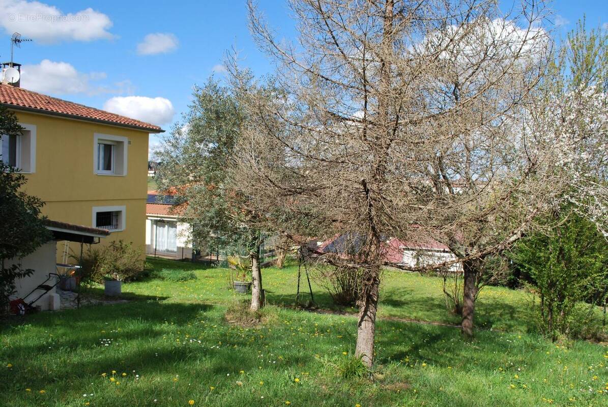 Photo 1 - Maison à AUCH