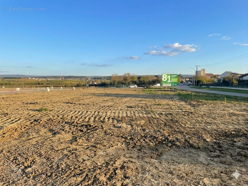Terrain à DISTROFF