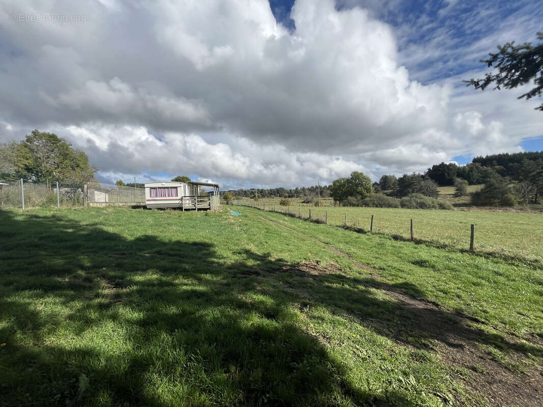 Terrain à MERLE-LEIGNEC