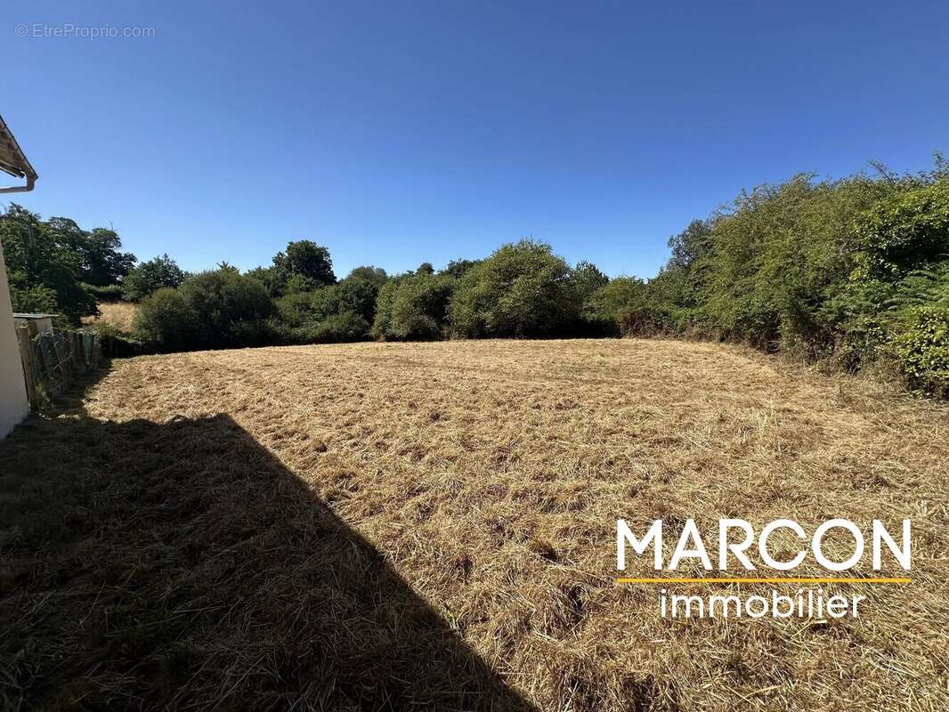 Terrain de loisirs - photo 2