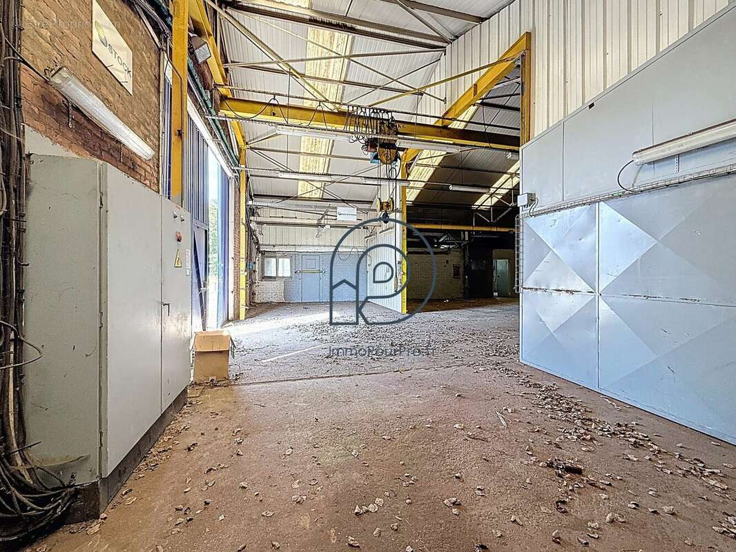Commerce 378 m² à Dunkerque  - photo 5