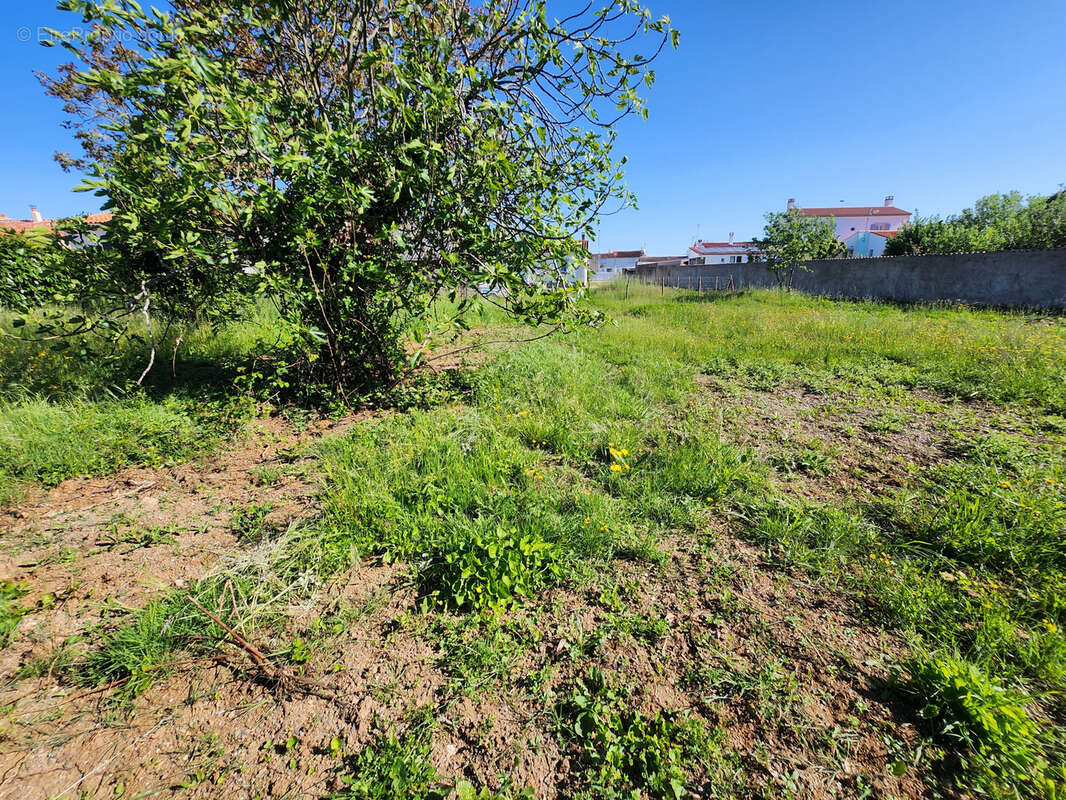 Terrain à LES MAGNILS-REIGNIERS
