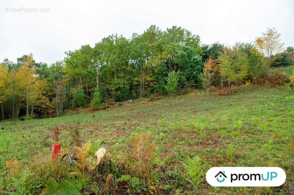 Terrain à SARLAT-LA-CANEDA