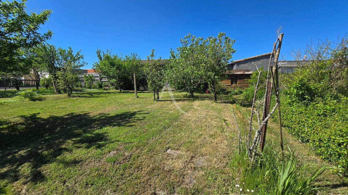 Terrain à L&#039;ILE-D&#039;OLONNE