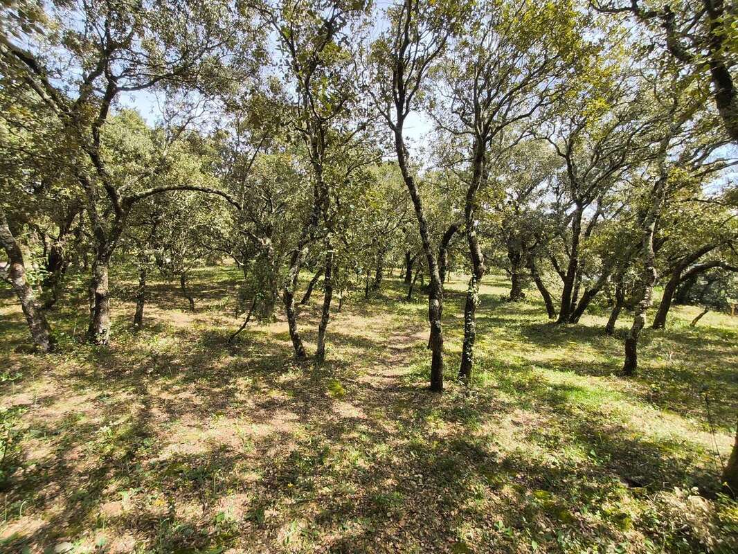 Photo 9 - Maison à GRIGNAN