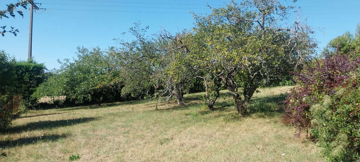 Terrain Serpaize 910 m2 - photo 4