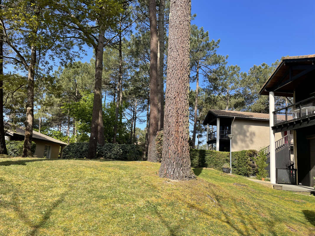 Appartement à LACANAU