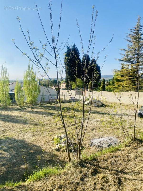 Terrain à SABLET