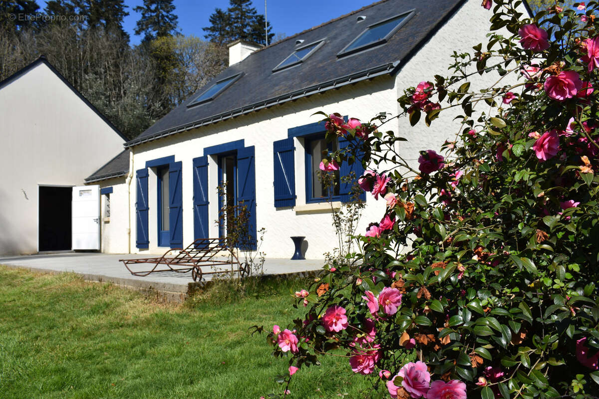 Maison à GUEMENE-PENFAO