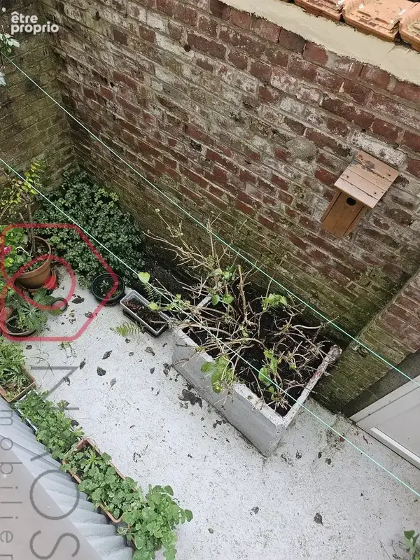 Maison mitoyenne située en plein cur du Tréport - photo 12
