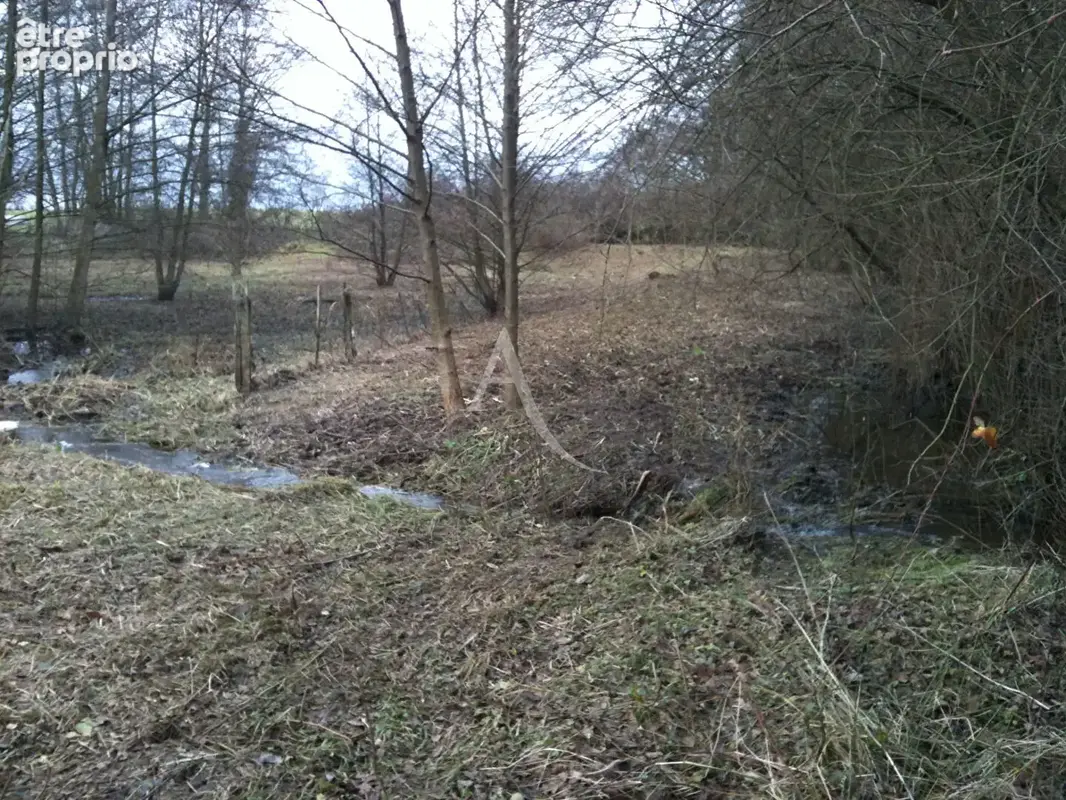 Terrain de loisirs à 5min de Gournay-en-Bray - photo 6