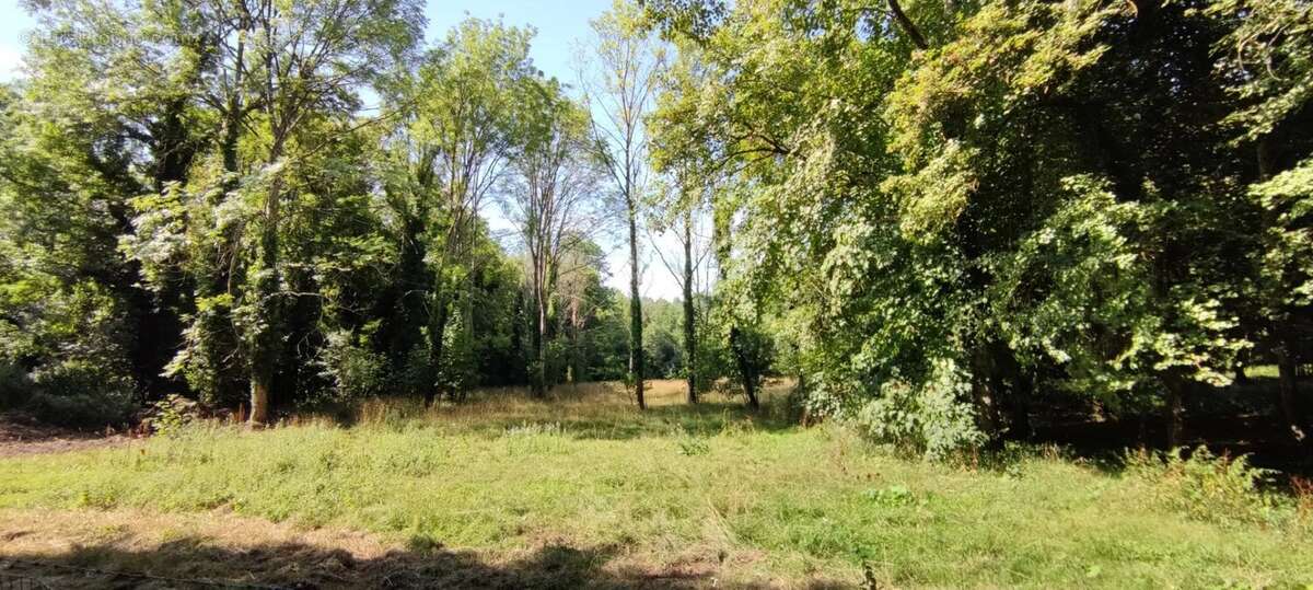 Maison à MAUPERTHUIS