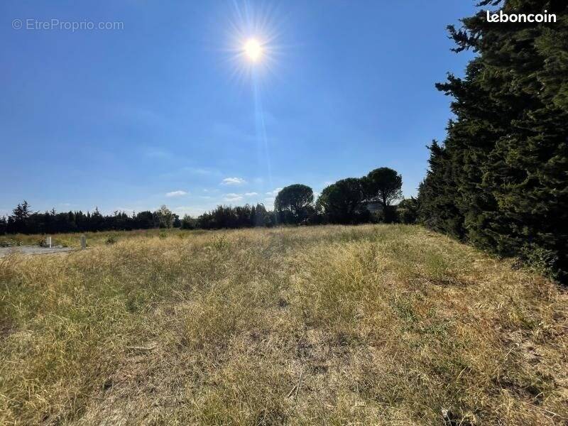 Terrain à LEZIGNAN-CORBIERES