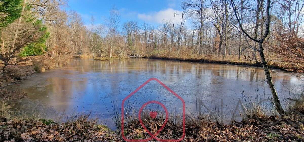 Terrain à NOUAN-LE-FUZELIER