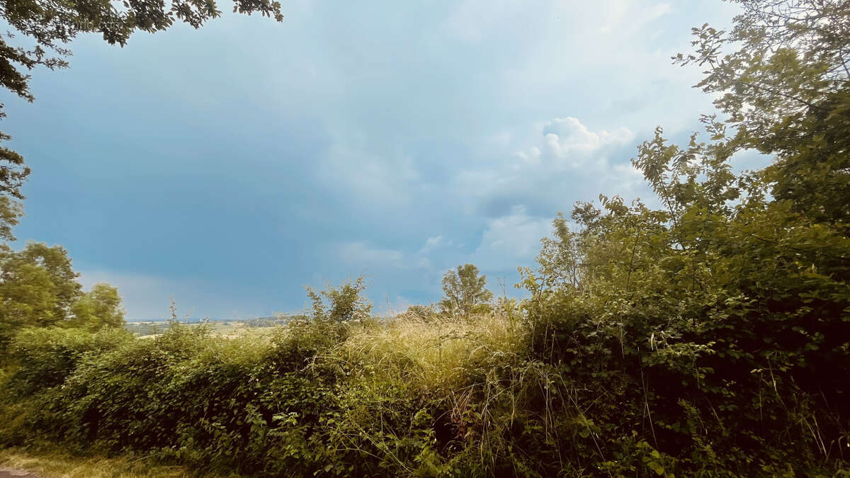 Terrain de loisirs de 2880 m2 avec vue dégagée sur la nature 18 000 € - photo 2
