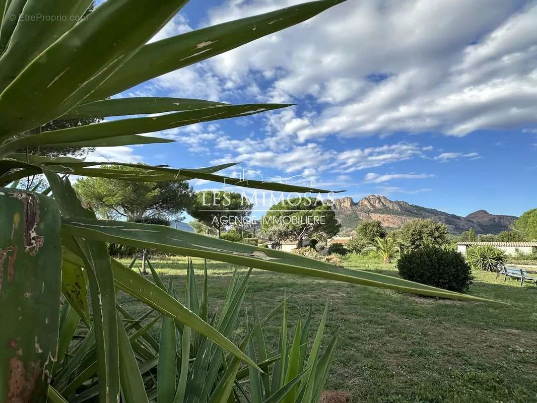 Terrain à ROQUEBRUNE-SUR-ARGENS