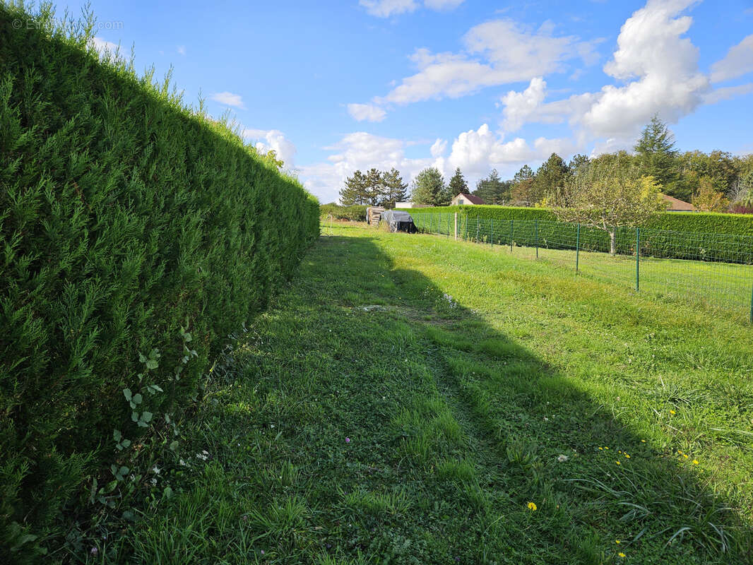 Terrain à SERBANNES