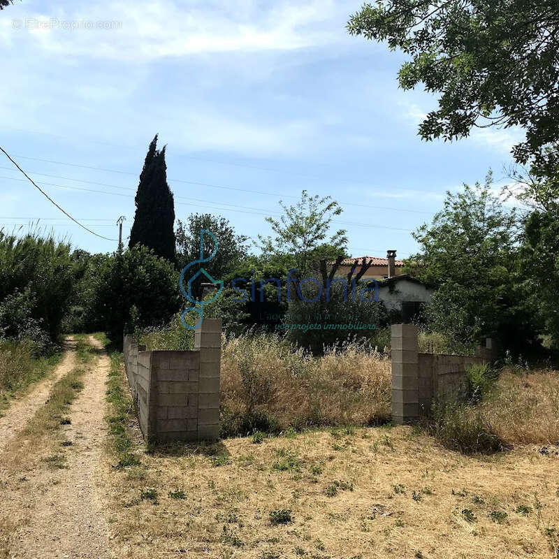 Saint-jean-de-védas   propriété rare à réhabiliter sur 4 835 m2 - photo 15