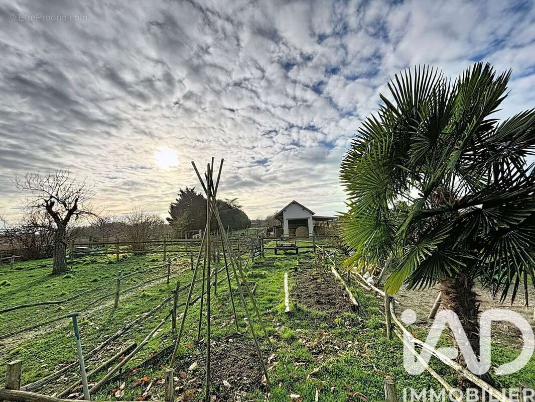 Photo 4 - Maison à CELLETTES