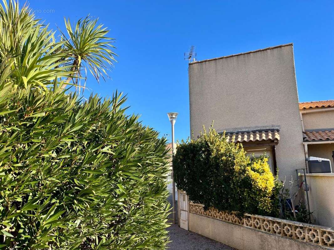 Photo 8 - Maison à PORTIRAGNES