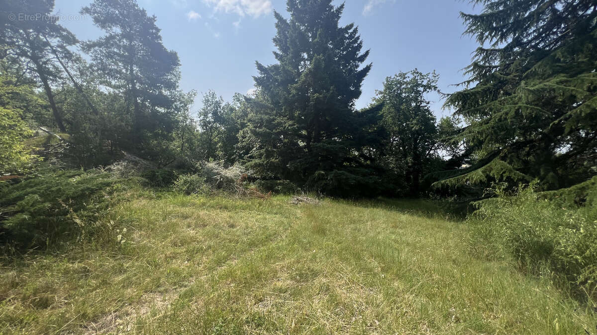 Maison à BOUTIGNY-SUR-ESSONNE