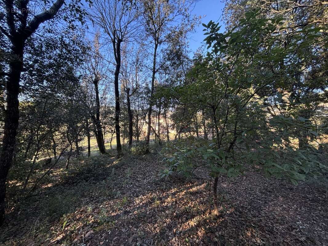 Maison à FIGANIERES