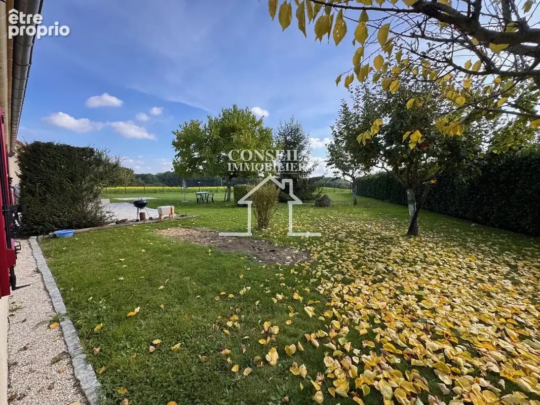 Proche saint julien du sault - photo 13