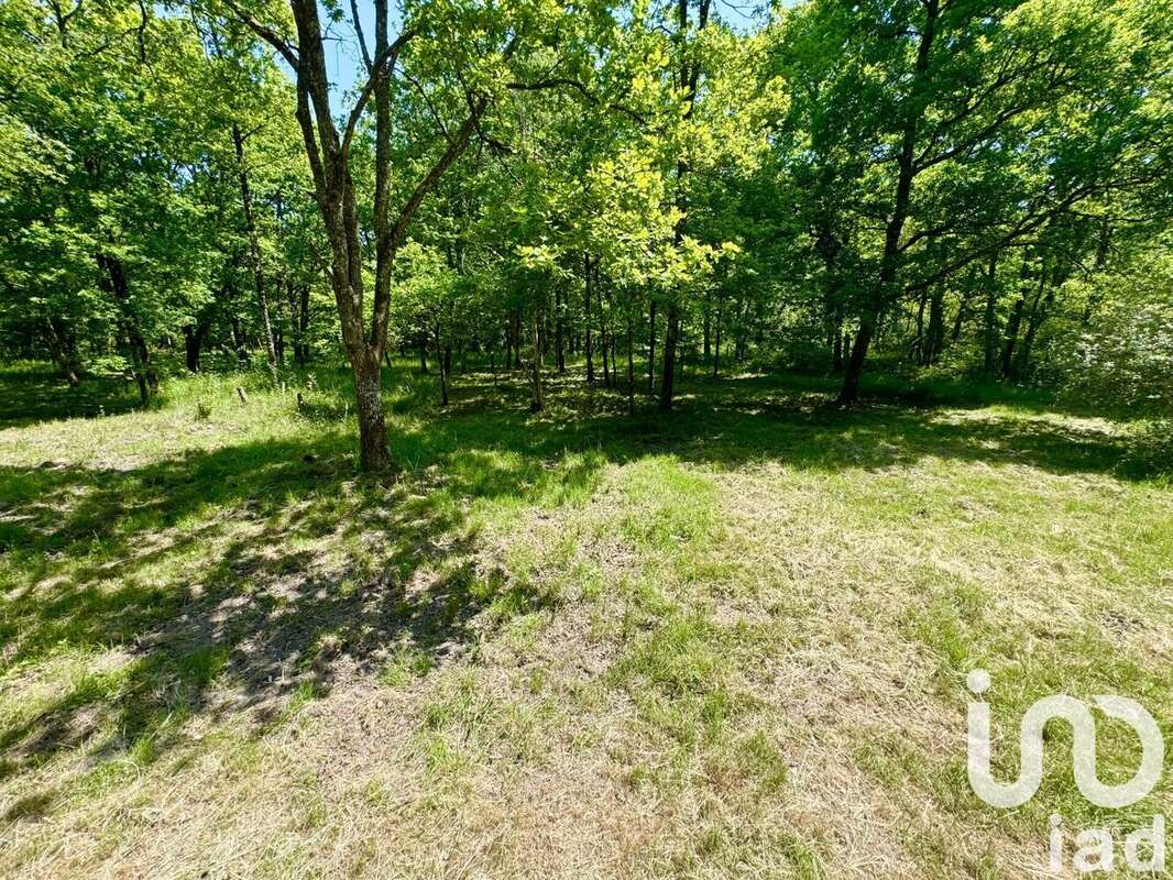 Photo 4 - Terrain à MENESTREAU-EN-VILLETTE