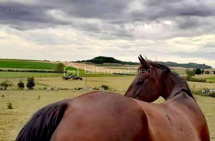 Maison à NOVION-PORCIEN