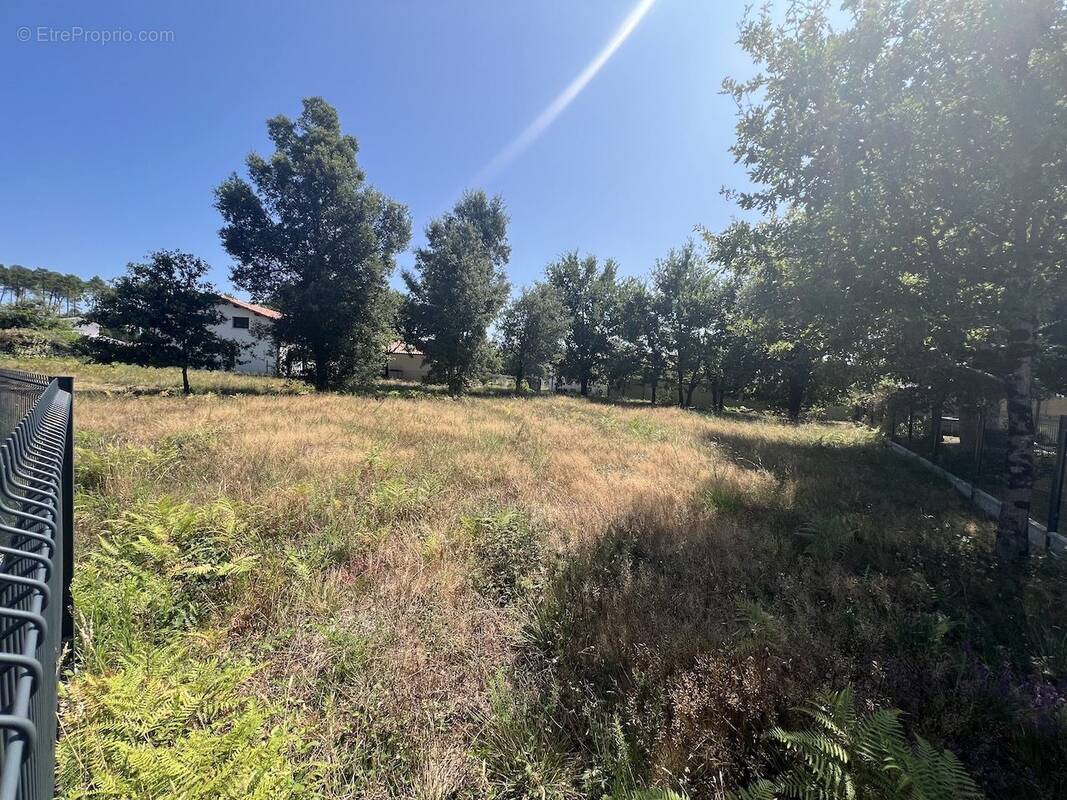 Terrain à VIELLE-SAINT-GIRONS