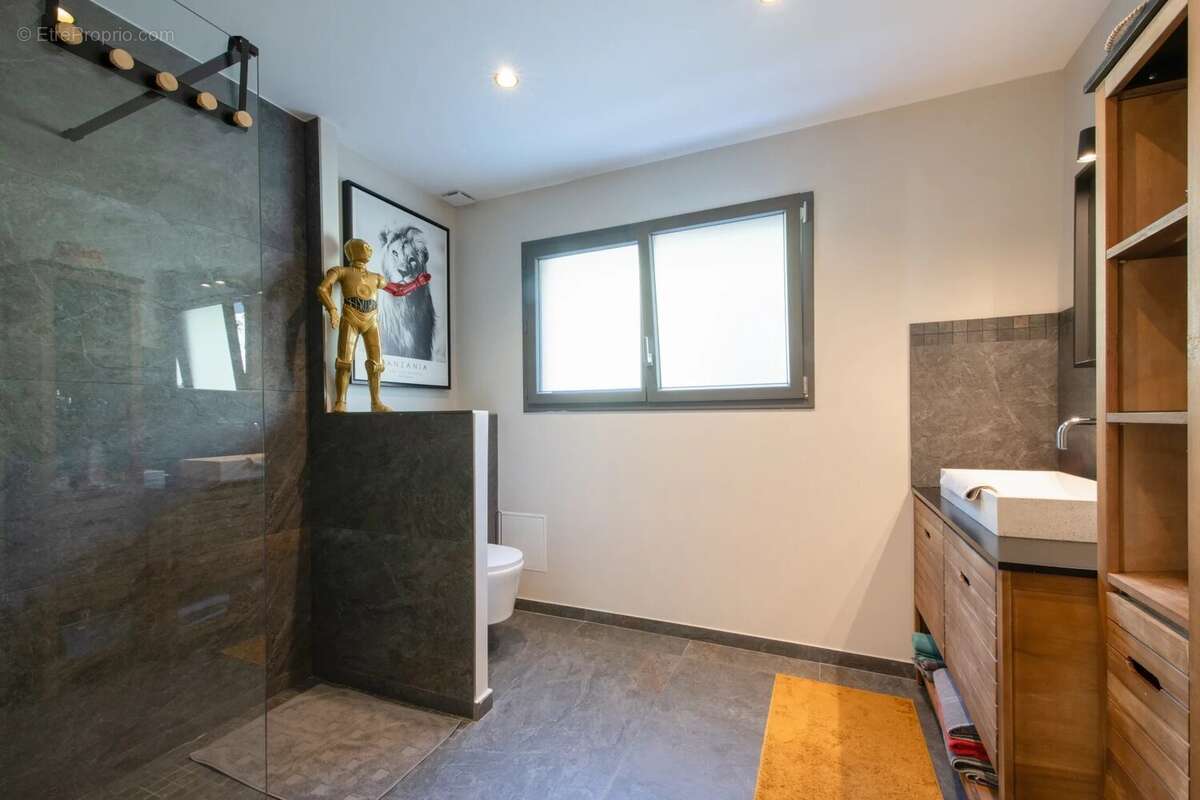 Maison à LES ISSAMBRES