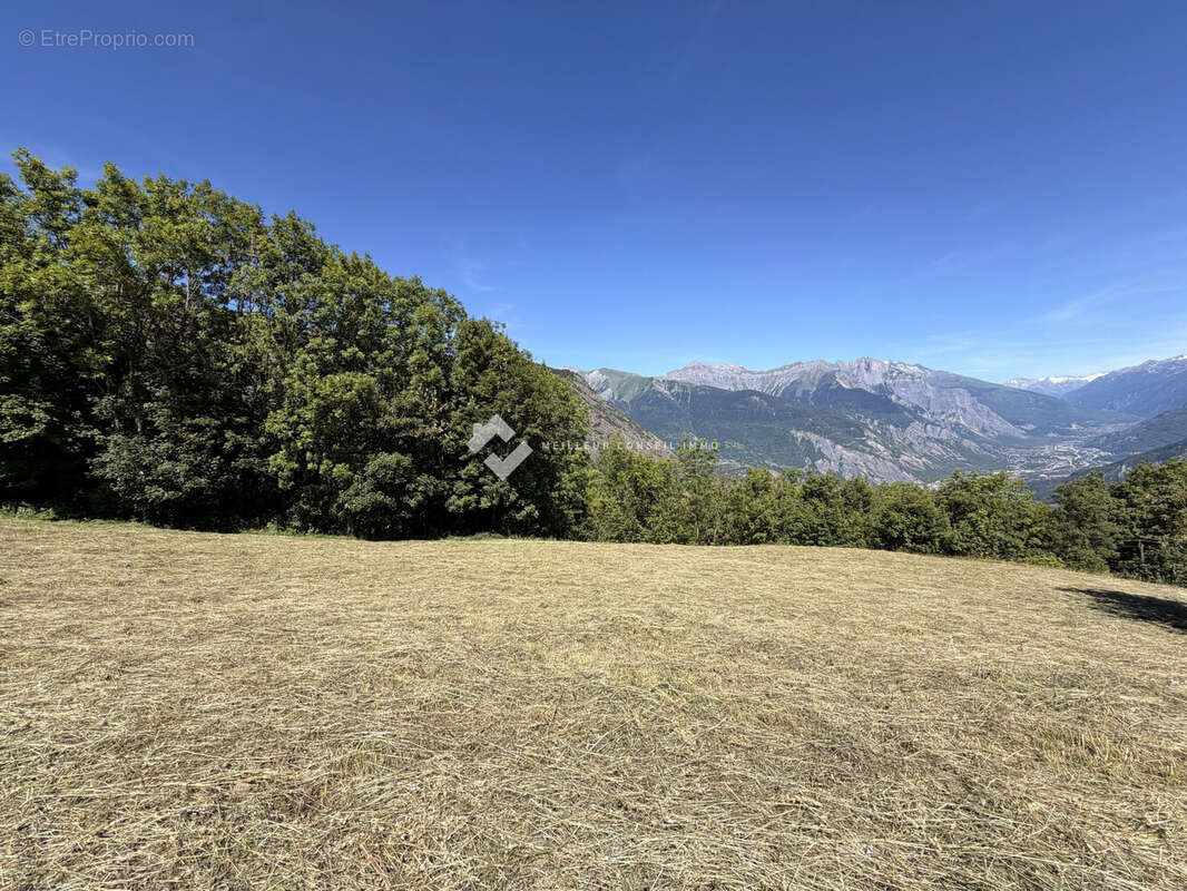 Terrain à JARRIER