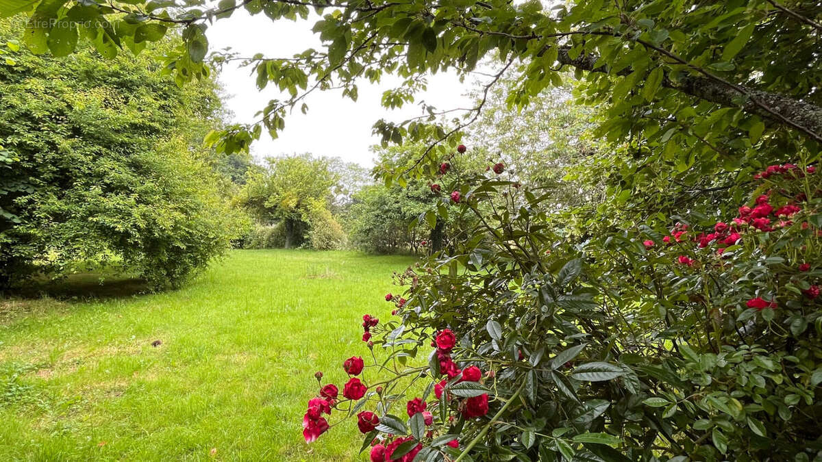 Maison à LES ETILLEUX
