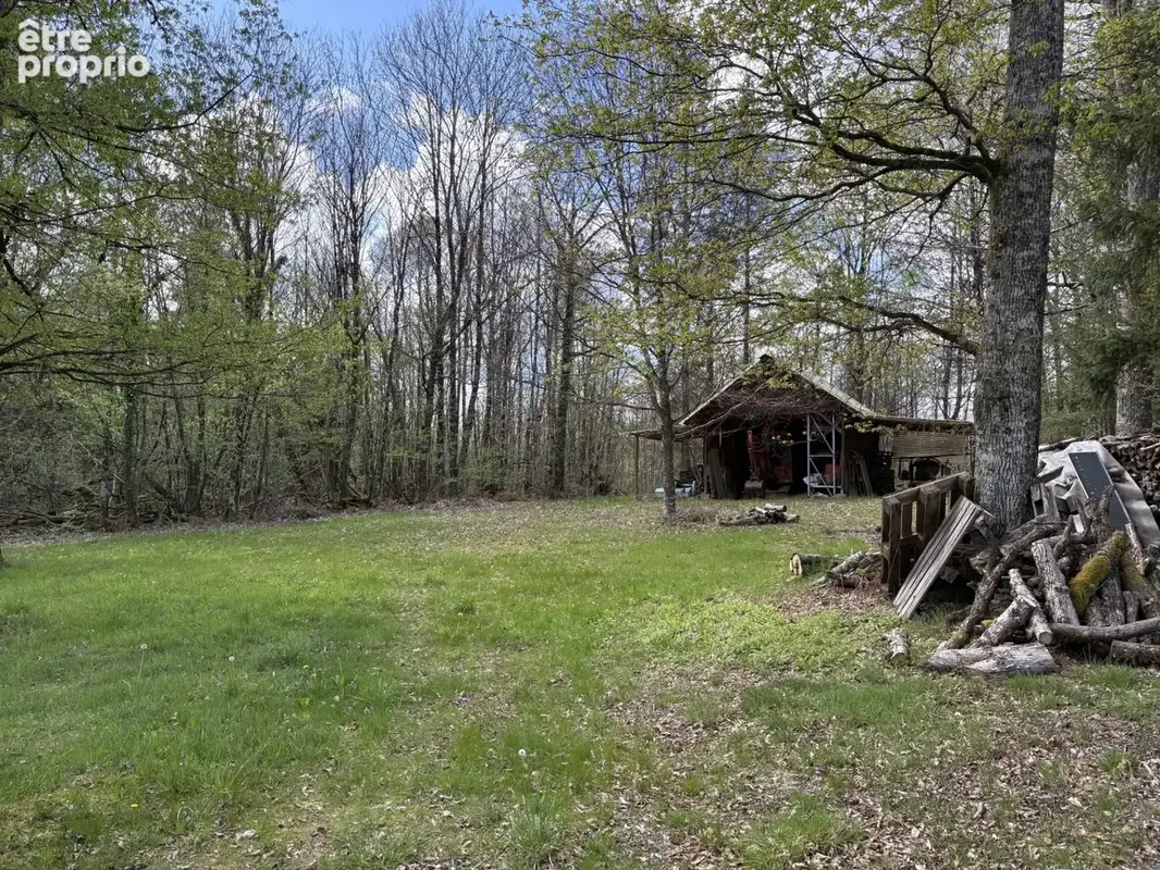 Château Chervix maison de 4 pièces, étang, bois et 3,36 ha sans voisinage - photo 15