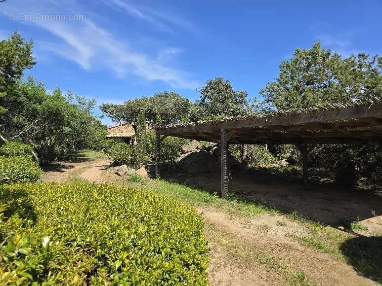 Maison à PORTO-VECCHIO