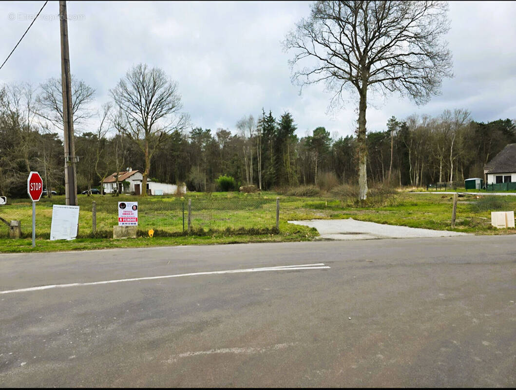 Terrain à LA FERTE-FRENEL