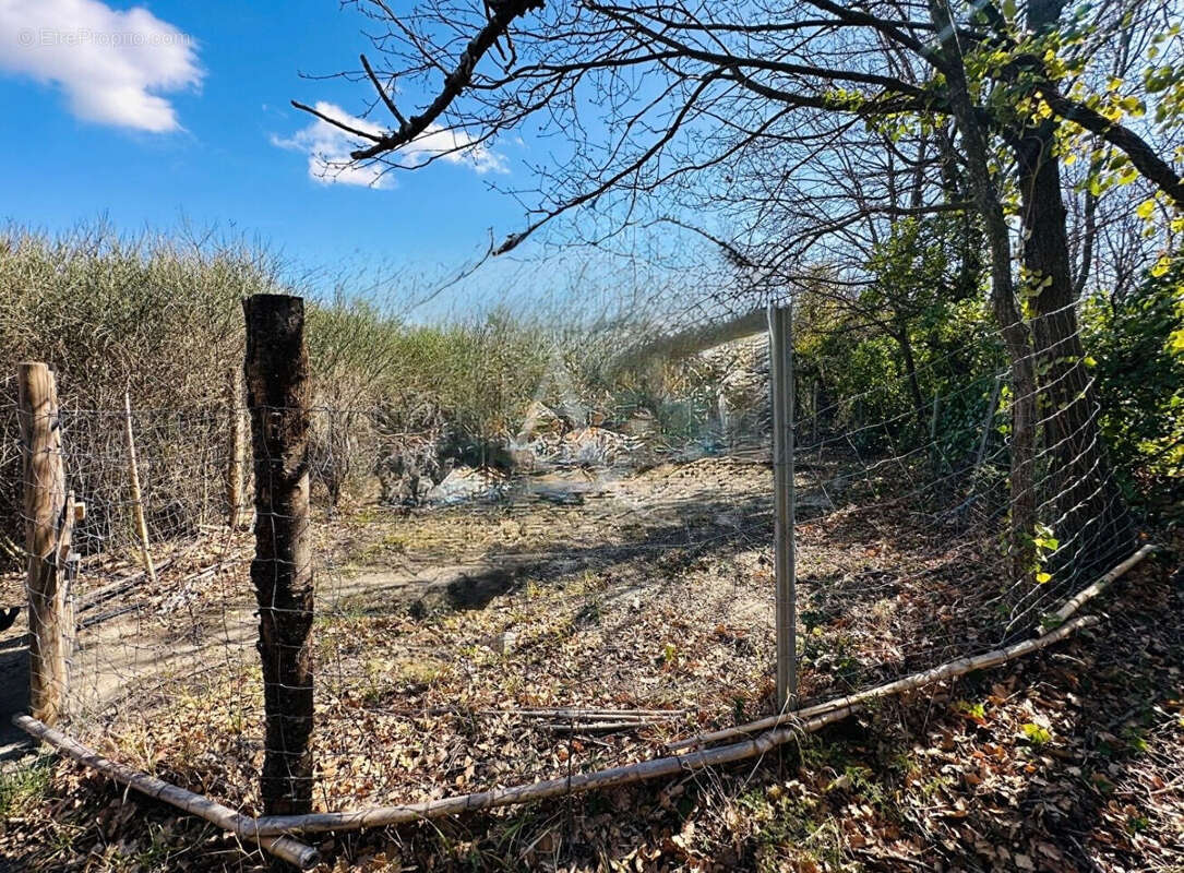 Terrain à ILLE-SUR-TET