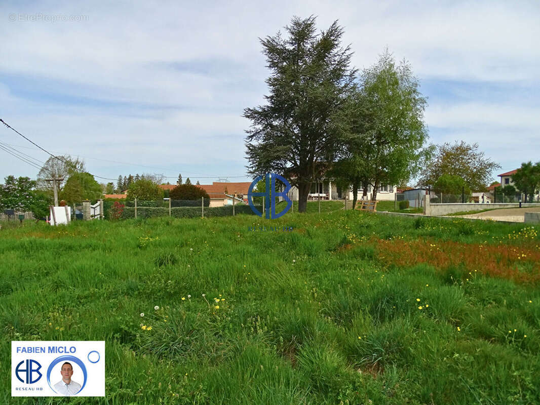 Terrain à CHATONNAY