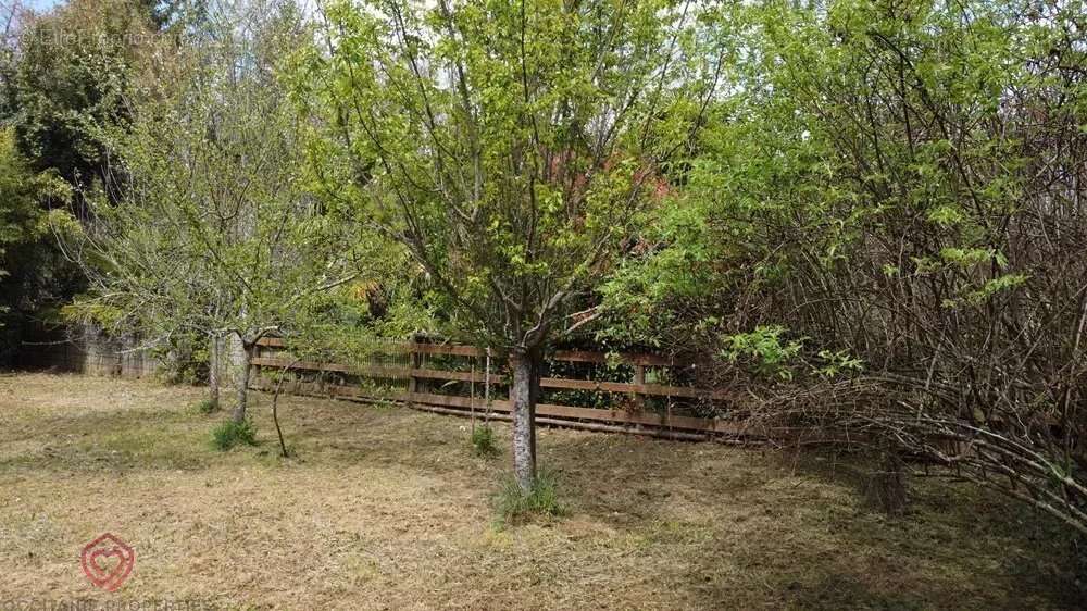 Terrain à L&#039;ISLE-EN-DODON